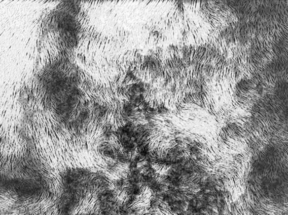 Experimentell ermitteltes instationäres Geschwindigkeitsfeld im Nachlauf eines Kreiszylinderstumpfes bei Re = 2·10^5, Anzahl der berechneten Vektoren = 8·10^5