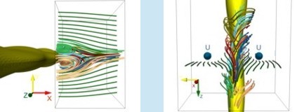 Experimentell ermittelte Stromlinien im Nachlauf einer Seehundvibrisse
