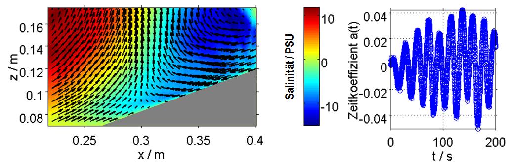 Grundmode einer brechenden internen Welle als Geschwindigkeitsvektor- und Salinitätsfeld