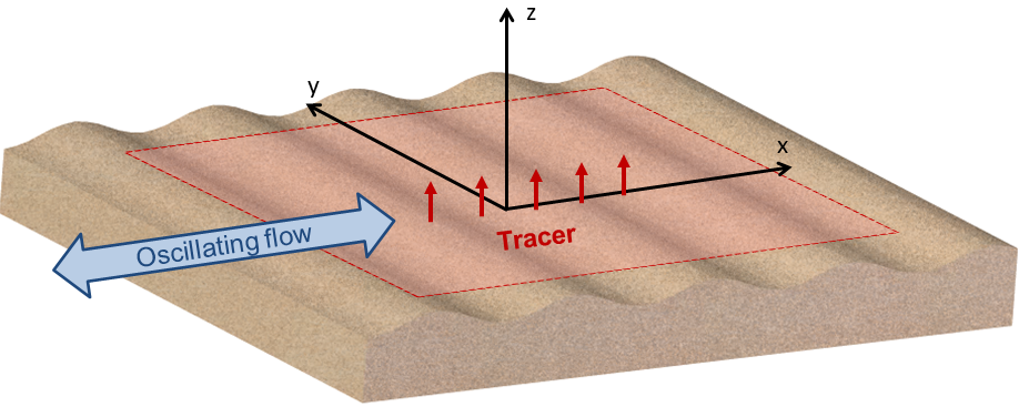 Experimental scheme: Oscillating flow above a seabed model with simultaneous tracer discharge