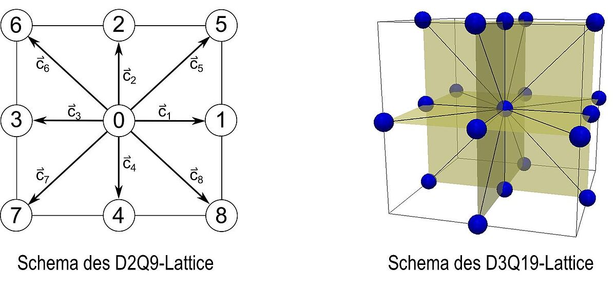 2D und 3D Lattice-Modelle für die LBM-Simulation