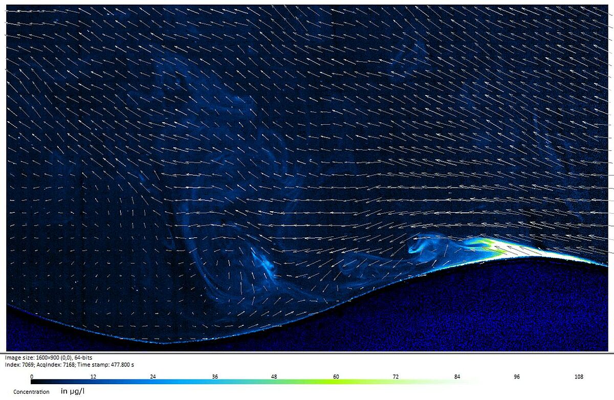 Example for a concentration and velocity field of the turbulent bottom boundary layer